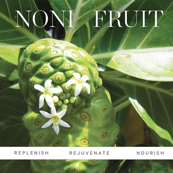 KORA Organics Noni Glow Face Oil - Picture 5 of 9